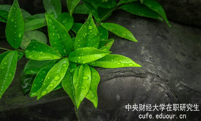 中央財經大學同等學力申碩達到多少分才算通過考試？