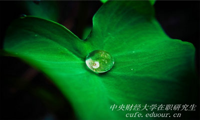 報(bào)考中央財(cái)經(jīng)大學(xué)在職研究生能升職嗎？