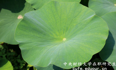 2018年中央財(cái)經(jīng)大學(xué)在職研究生可以獲得雙證嗎？