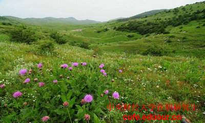 中國(guó)財(cái)經(jīng)大學(xué)在職研究生可以不考試么？